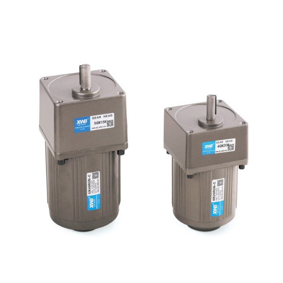 微型交流減速電機(jī)40W