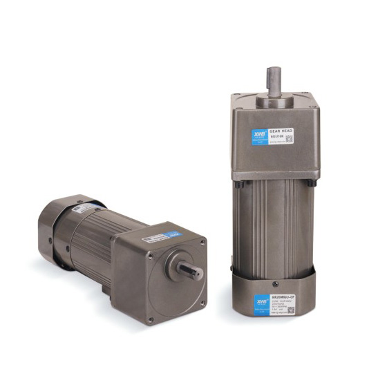 微型交流減速電機(jī)250W